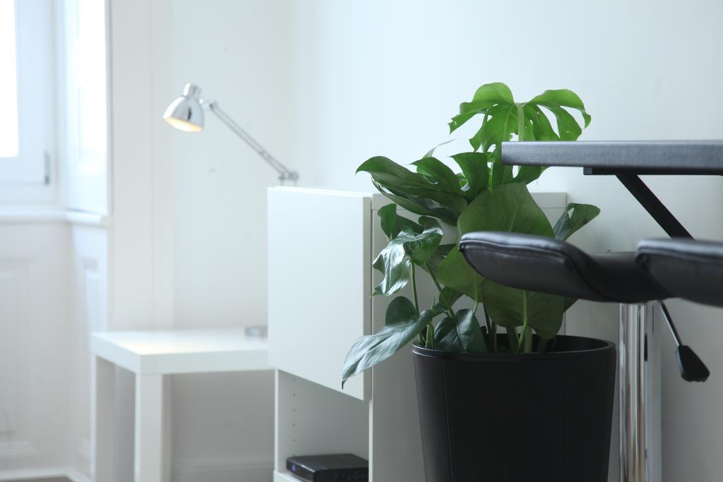 בודפשט Pearl Apartment In The Center With City View מראה חיצוני תמונה